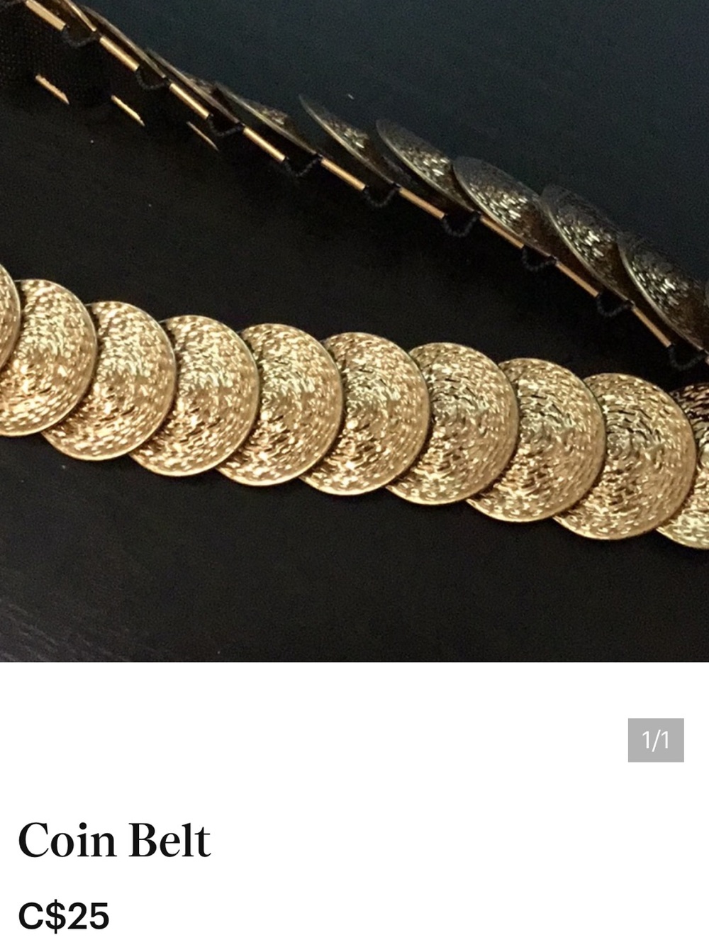 Coin Belt